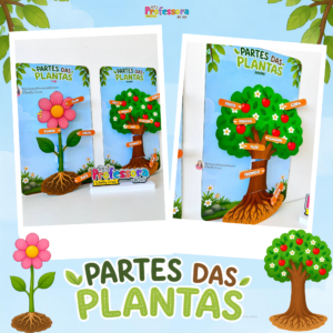 Partes Das Plantas 🌱